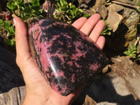 Polished Pink & Black Rhodonite Standing Free Form x 1 From Madagascar