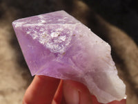 Natural Single Jacaranda Amethyst Crystals  x 12 From Mumbwe, Zambia - Toprock Gemstones and Minerals 