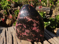 Polished Pink & Black Rhodonite Standing Free Form x 1 From Madagascar