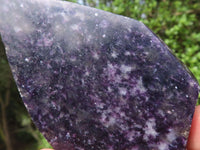 Polished Purple Lepidolite Free Forms  x 6 From Zimbabwe - Toprock Gemstones and Minerals 