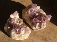 Natural Sugar Amethyst Clusters  x 3 From Zambia