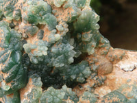 Polished Green Mtorolite / Chrome Chrysoprase Plates  x 2 From Zimbabwe - Toprock Gemstones and Minerals 