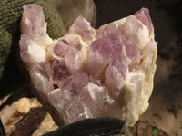 Natural Sugar Amethyst Clusters  x 3 From Zambia