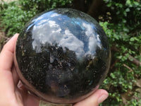 Polished Extra Large Labradorite Sphere & Palisandre Rose Wood Stand  x 2 From Madagascar - TopRock