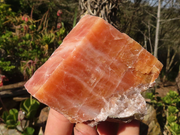 Natural New Sunset Orange Calcite Specimens  x 2 Kg Lot From Spitzkop, Namibia