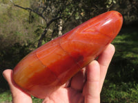 Polished Carnelian Agate Standing Free Forms With Stunning Patterns & Colours x 3 From Madagascar - TopRock