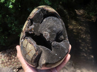 Polished Septerye Sauvage "Dragons Egg" Geode  x 1 From Mahajanga, Madagascar - TopRock