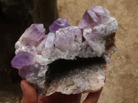 Natural Jacaranda Amethyst Quartz Clusters  x 3 From Mumbwa, Zambia - Toprock Gemstones and Minerals 