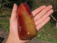 Polished Carnelian Agate Standing Free Forms With Stunning Patterns & Colours x 3 From Madagascar - TopRock