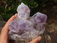 Natural Jacaranda Amethyst Quartz Clusters  x 3 From Mumbwa, Zambia - Toprock Gemstones and Minerals 