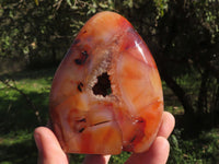 Polished Carnelian Agate Standing Free Forms With Stunning Patterns & Colours x 3 From Madagascar - TopRock