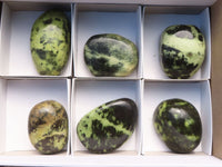 Polished Extra Large Leopard Stone Gallets  x 6 From Zimbabwe - TopRock