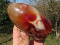 Polished Carnelian Agate Standing Free Forms With Stunning Patterns & Colours x 3 From Madagascar - TopRock