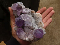 Natural Jacaranda Amethyst Quartz Clusters  x 3 From Mumbwa, Zambia - Toprock Gemstones and Minerals 