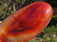 Polished Carnelian Agate Standing Free Forms With Stunning Patterns & Colours x 3 From Madagascar - TopRock