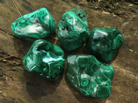 Polished Malachite Free Forms With Stunning Flower & Banding Patterns x 5 From Kolwezi, Congo - TopRock