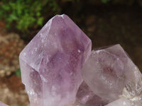 Natural Jacaranda Amethyst Quartz Clusters  x 3 From Mumbwa, Zambia - Toprock Gemstones and Minerals 