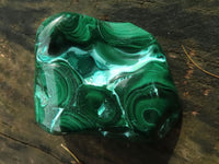 Polished Malachite Free Forms With Stunning Flower & Banding Patterns x 5 From Kolwezi, Congo - TopRock