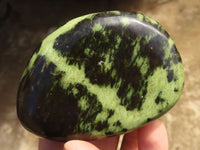 Polished Extra Large Leopard Stone Gallets  x 6 From Zimbabwe - TopRock