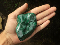 Polished Malachite Free Forms With Stunning Flower & Banding Patterns x 5 From Kolwezi, Congo - TopRock