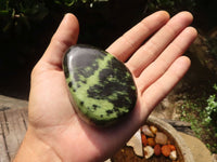 Polished Extra Large Leopard Stone Gallets  x 6 From Zimbabwe - TopRock