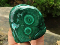 Polished Malachite Free Forms With Stunning Flower & Banding Patterns x 5 From Kolwezi, Congo - TopRock