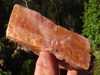 Natural New Sunset Orange Calcite Specimens  x 6 From Spitzkop, Namibia - Toprock Gemstones and Minerals 