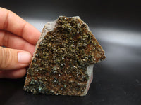 Natural Rare Copper Phosphate Libethenite On Dolomite Clusters x 3 From Shituru, Congo - TopRock