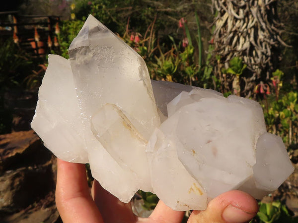 Natural Lovely White Quartz Clusters  x 2 From Madagascar