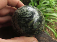 Polished Stromatolite / Kambamba Jasper Spheres  x 6 From Katsepy, Madagascar - TopRock