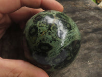 Polished Stromatolite / Kambamba Jasper Spheres  x 6 From Katsepy, Madagascar - TopRock