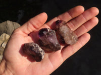 Natural Smokey Window Amethyst Crystal Specimens  x 12 From Chiredzi, Zimbabwe