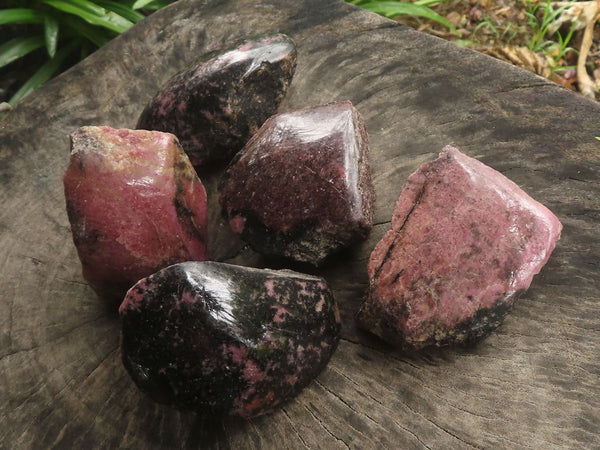 Polished One Side Polished Rhodonite Free Forms  x 5 From Madagascar - TopRock