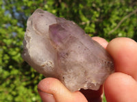 Natural Smokey Window Amethyst Crystal Specimens  x 12 From Chiredzi, Zimbabwe