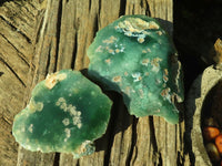 Polished One Side Polished Emerald Mtorolite Plates  x 2 From Zimbabwe