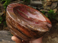 Polished Petrified Red Podocarpus Wood Dish  x 1 From Madagascar - Toprock Gemstones and Minerals 