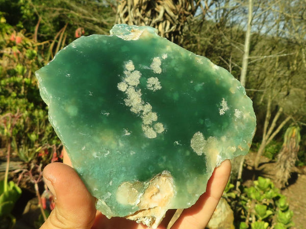 Polished One Side Polished Emerald Mtorolite Plates  x 2 From Zimbabwe