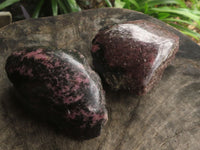 Polished One Side Polished Rhodonite Free Forms  x 5 From Madagascar - TopRock