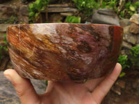 Polished Petrified Red Podocarpus Wood Dish  x 1 From Madagascar - Toprock Gemstones and Minerals 