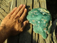 Polished One Side Polished Emerald Mtorolite Plates  x 2 From Zimbabwe