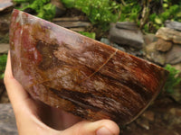 Polished Petrified Red Podocarpus Wood Dish  x 1 From Madagascar - Toprock Gemstones and Minerals 