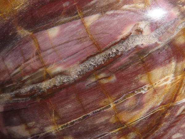 Polished Exceptional Petrified Red Podocarpus Wood Sphere x 1 From Madagascar - TopRock