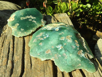 Polished One Side Polished Emerald Mtorolite Plates  x 2 From Zimbabwe