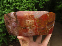 Polished Petrified Red Podocarpus Wood Dish  x 1 From Madagascar - Toprock Gemstones and Minerals 