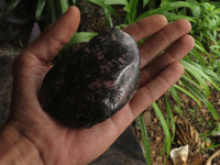 Polished One Side Polished Rhodonite Free Forms  x 5 From Madagascar - TopRock