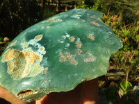 Polished One Side Polished Emerald Mtorolite Plates  x 2 From Zimbabwe