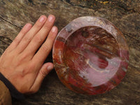 Polished Petrified Red Podocarpus Wood Dish  x 1 From Madagascar - Toprock Gemstones and Minerals 