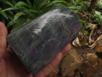 Polished Rare Purple Flash Labradorite Standing Free Forms  x 2 From Tulear, Madagascar - TopRock