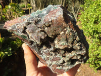 Natural Drusy Coated Ball Malachite On Dolomite Specimen  x 1 From Likasi, Congo