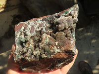 Natural Drusy Coated Ball Malachite On Dolomite Specimen  x 1 From Likasi, Congo